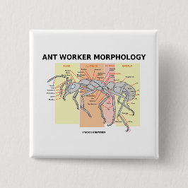 Ant Worker Morphology Vierkante Button 5,1 Cm