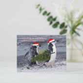 Antarctic Beach Christmas Briefkaart (Staand voorkant)