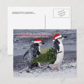 Antarctic Beach Christmas Briefkaart (Voorkant / Achterkant)