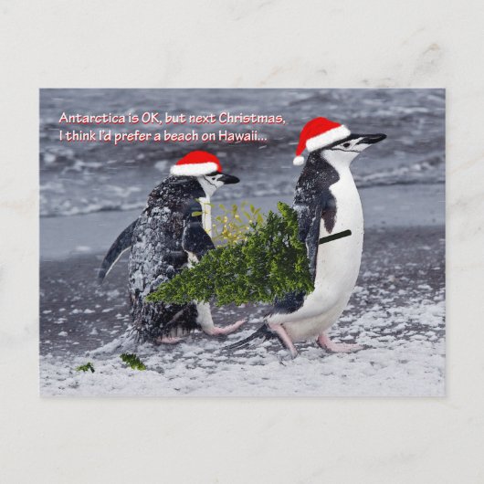 Antarctic Beach Christmas Briefkaart (Voorkant)