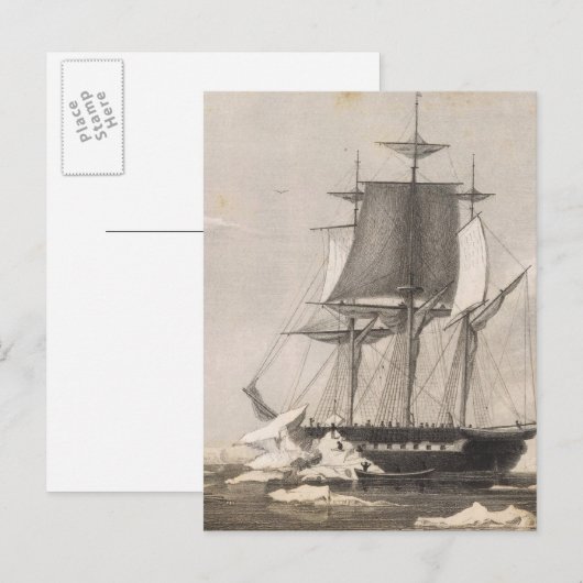 Antarctica 2 briefkaart (Voorkant / Achterkant)