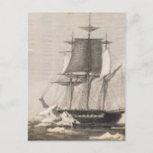 Antarctica 2 briefkaart (Voorkant)