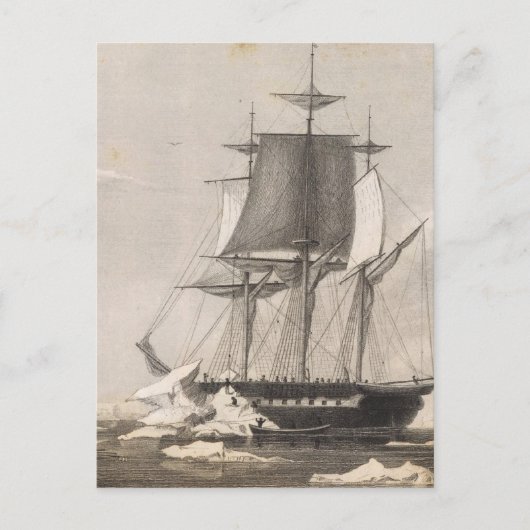 Antarctica 2 briefkaart (Voorkant)