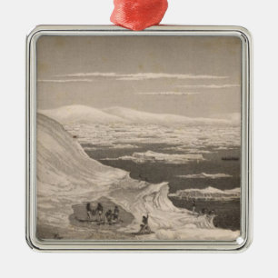 Antarctica 2 metalen ornament