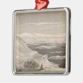 Antarctica 2 metalen ornament (Links)