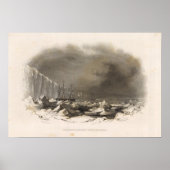 Antarctica 4 poster (Voorkant)