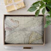 Antarctica 4 tissuepapier (Geschenk)