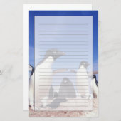 Antarctica, Adelie Penguin Pygoscelis Briefpapier (Voorkant / Achterkant)