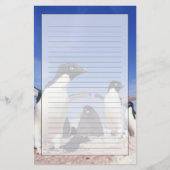 Antarctica, Adelie Penguin Pygoscelis Briefpapier (Voorkant)