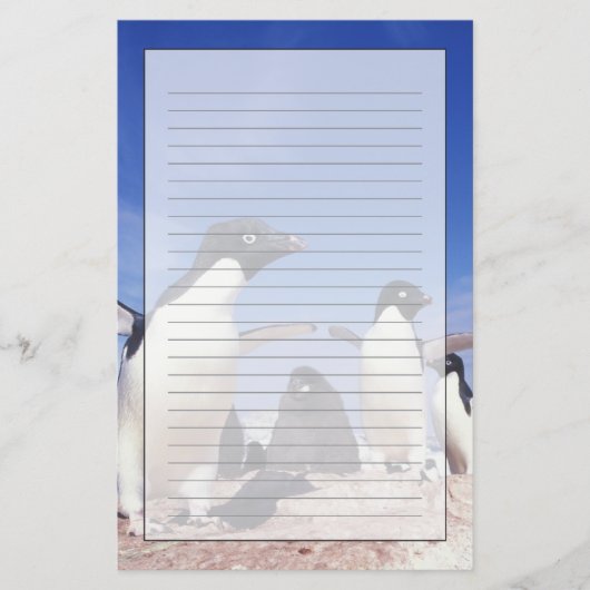 Antarctica, Adelie Penguin Pygoscelis Briefpapier (Voorkant)