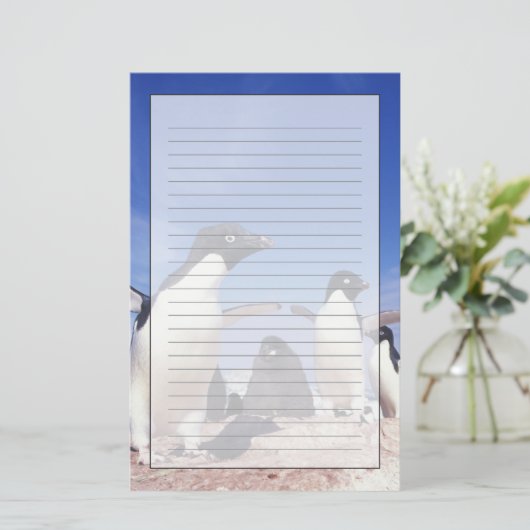 Antarctica, Adelie Penguin Pygoscelis Briefpapier (Staand voorkant)