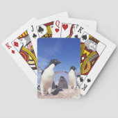 Antarctica, Adelie Penguin Pygoscelis Pokerkaarten (Achterkant)