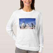 Antarctica, Adelie Penguin Pygoscelis T-shirt (Voorkant)