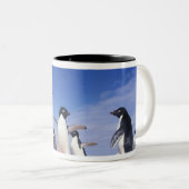 Antarctica, Adelie Penguin Pygoscelis Tweekleurige Koffiemok (Voorkant rechts)