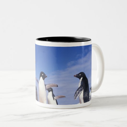 Antarctica, Adelie Penguin Pygoscelis Tweekleurige Koffiemok (Voorkant rechts)