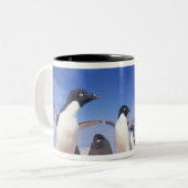 Antarctica, Adelie Penguin Pygoscelis Tweekleurige Koffiemok (Voorkant links)