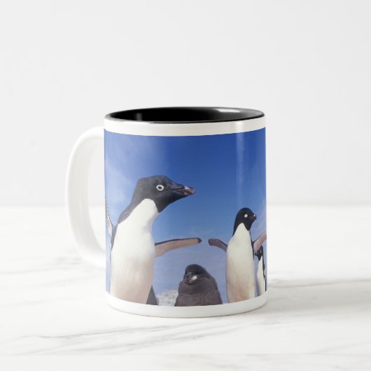Antarctica, Adelie Penguin Pygoscelis Tweekleurige Koffiemok (Voorkant links)