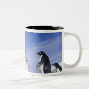 Antarctica, Adelie Penguin Pygoscelis Tweekleurige Koffiemok