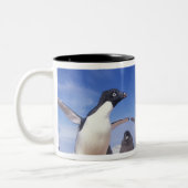 Antarctica, Adelie Penguin Pygoscelis Tweekleurige Koffiemok (Links)