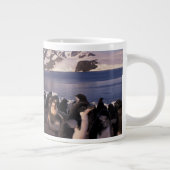 Antarctica, Adelie pinguïnkuikens Grote Koffiekop (Rechts)