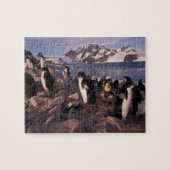 Antarctica, Adelie pinguïnkuikens Legpuzzel (Horizontaal)
