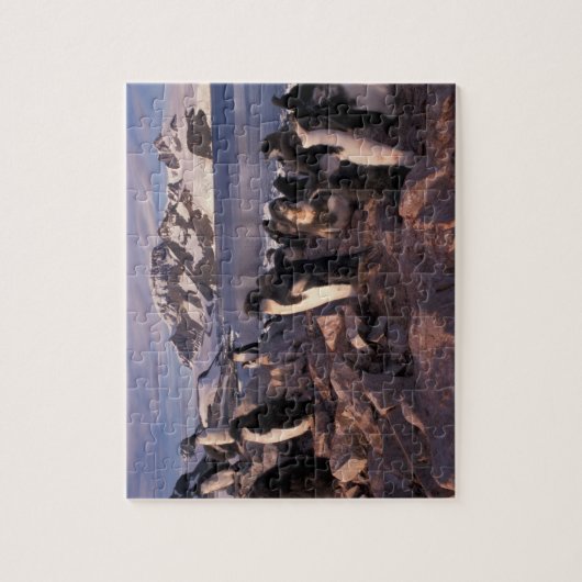 Antarctica, Adelie pinguïnkuikens Legpuzzel (Verticaal)
