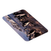 Antarctica, Adelie pinguïnkuikens Magneet (Rechterzijde)