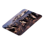 Antarctica, Adelie pinguïnkuikens Magneet (Linkerzijde)