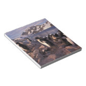 Antarctica, Adelie pinguïnkuikens Notitieblok (Schuin)