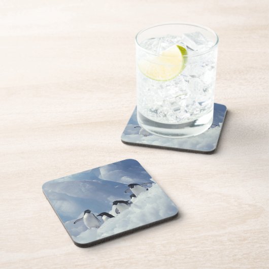 Antarctica. Adelie pinguins Bier Onderzetter (Rechterzijde)