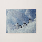 Antarctica. Adelie pinguins Legpuzzel (Horizontaal)