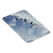 Antarctica. Adelie pinguins Magneet (Rechterzijde)