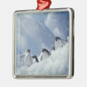 Antarctica. Adelie pinguins Metalen Ornament (Links)