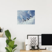 Antarctica. Adelie pinguins Poster (Thuiskantoor)