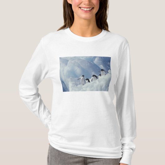 Antarctica. Adelie pinguins T-shirt (Voorkant)