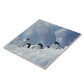 Antarctica. Adélie-pinguïns Tegeltje (Zijkant)