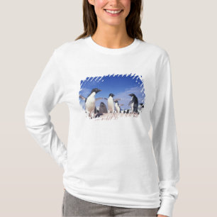 Antarctica, adeliepingïn Pygoscelis T-shirt
