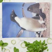 Antarctica, adeliepingïn Pygoscelis Theedoek (Gevouwen)