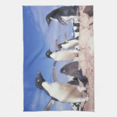 Antarctica, adeliepingïn Pygoscelis Theedoek (Verticaal)