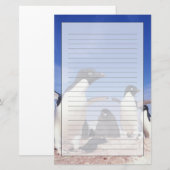 Antarctica, adeliepinguïn Pygoscelis Briefpapier (Voorkant / Achterkant)