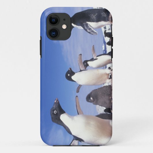 Antarctica, adeliepinguïn Pygoscelis Case-Mate iPhone Case (Achterkant)