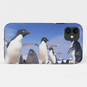Antarctica, adeliepinguïn Pygoscelis Case-Mate iPhone Case (Achterkant (horizontaal))