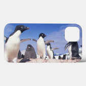 Antarctica, adeliepinguïn Pygoscelis Case-Mate iPhone Case (Achterkant (horizontaal))