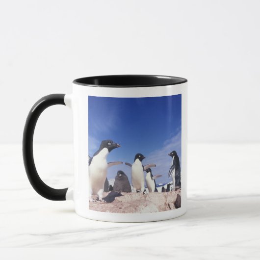 Antarctica, adeliepinguïn Pygoscelis Mok (Links)