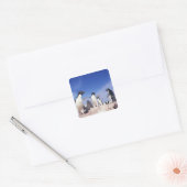 Antarctica, adeliepinguïn Pygoscelis Vierkante Sticker (Envelop)