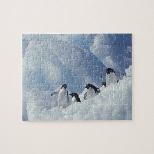Antarctica. Adeliepinguïns Legpuzzel (Horizontaal)