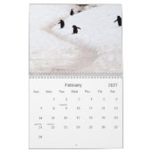 Antarctica - Agenda 2020 Kalender (Feb 2027)