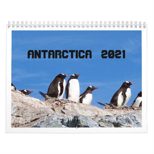 Antarctica - Agenda 2020 Kalender (Hoes)