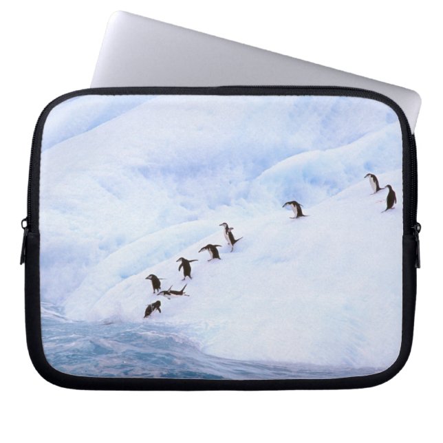 Antarctica, Antarctisch schiereiland. Chinstrap Laptop Sleeve (Voorkant)