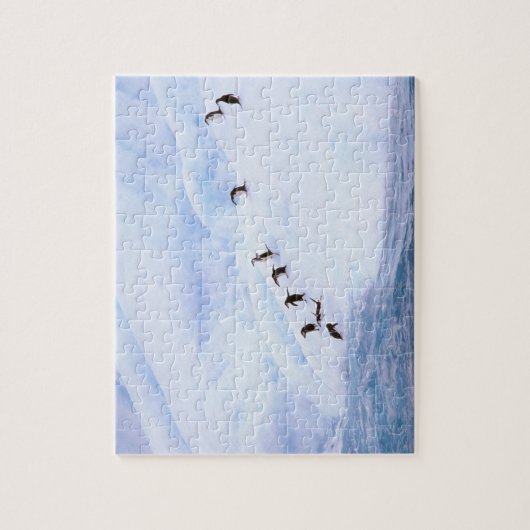 Antarctica, Antarctisch schiereiland. Chinstrap Legpuzzel (Verticaal)